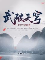 武破天穹