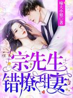 宗先生,错撩甜妻!