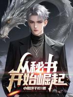 从秘书开始崛起