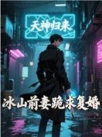 冰山前妻跪求复婚