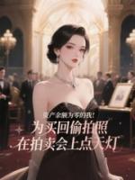 资产余额为零的我为买回偷拍照，在拍卖会上点天灯