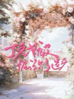 丁克女被惦记上了遗产