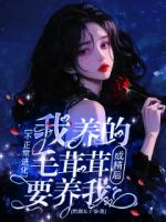 不正常进化，我养的毛茸茸成精后要养我