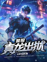 盖世龙枭