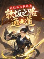 道侣暴击我成圣：软饭之路通大道