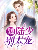 替嫁成婚:陆少别太宠