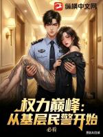 权力巅峰：从基层民警开始