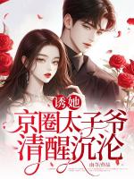 诱她，京圈太子爷清醒沉沦