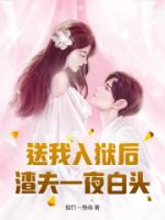 送我入狱后，渣夫一夜白头